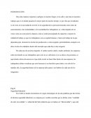 SEGURIDAD INDUSTRIAL Como Opera en la Industria