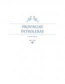 NORTHERN WEST SIBERIAN MESOZOIC COMPOSITE