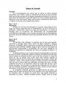 Cadena de Custodia Concepto