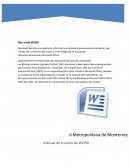 Ensayo Microsoft WORD