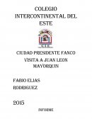 Informe sobre el viaje a Mallorquín