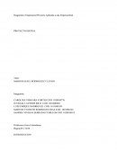 Diagnóstico Empresarial Proyecto Aplicado a una Empresa Real