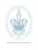 Introducción a las Ciencias Económico Administrativas