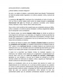 NOTICIA : LA LEGALIZACIÓN DE LA MARIHUANA
