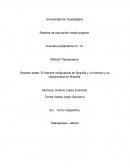 El hombre multicultural en filosofía y; el hombre y su idiosincrasia en filosofía