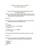 SEMANA 5 MANEJO DEL CRÉDITO ACTIVIDAD SEMANA 5