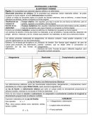 PROPIEDADES LA MATERIA: ELASTICIDAD Y RIGIDEZ