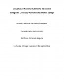 Lectura y Análisis de Textos Literarios I