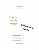 Experimento Biologia. Ósmosis en la cocina