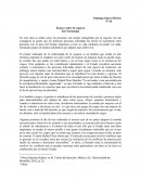 Ensayo sobre obra "la ceguera"