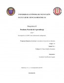 Investigacion del DNP