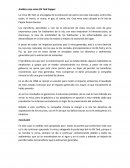 Análisis caso mina Ok Tedi Copper