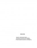 Administración del Joint Venture