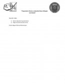 Preparatoria Técnica e Industrial Álvaro Obregón San Nicolás- La vida de Nawako