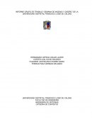 INFORME GRUPO DE TRABAJO “SEMANA DE INGENIO Y DISEÑO” DE LA UNIVERSIDAD DISTRITAL FRANCISCO JOSÉ DE CALDAS