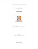 Responsabilidad social de un psicólogo