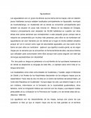 Depresion en el adulto mayor.