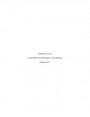 Arquitectura de red CONTROL 4