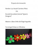 Proyecto de innovacion. Tecnología Énfasis en Ofimática