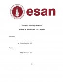 GASEOSA DE CEBADA INTRO