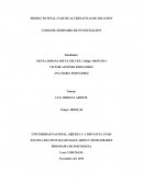 PRODUCTO FINAL: FASE DE ALTERNATIVAS DE SOLUCION