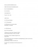 INSTALACIONES RESIDENCIALES CIRCUITOS RAMALES RESIDENCIALES