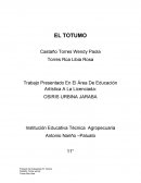 INVESTIGACIÓN SOBRE EL TOTUMO