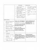 Fortalezas y debilidades de la Nueva empresa