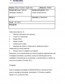 Ejercicios de taller de habilidades verbales