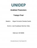 Analisis financiero Empresa Importaciones Mega Mix S.A