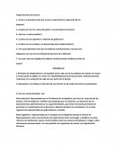 Preguntas Guías de lectura