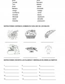 Pedagogia.UNE LAS PALABRAS QUE RIMAN etc