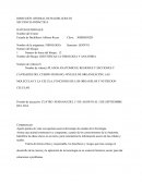 Secuencia didactica fisiologia