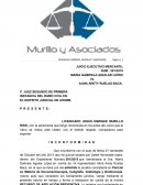 Apelacion preventiva Ejemplo