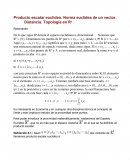 Producto escalar euclideo. Norma euclidea de un vector. Distancia. Topología en Rn