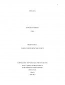 ¿Cuál es la relación entre Biologia y Psicología?