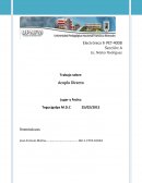 Electrónica II- PET-4008