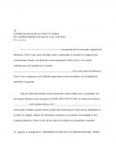 Jucio ejecutivo civil