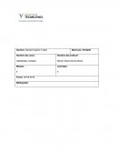 Actividad de habilidades verbales