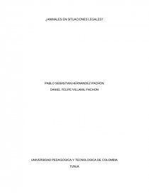 Derechos de los animales. ¿ANIMALES EN SITUACIONES LEGALES?. Página 1