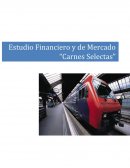 Contenido documento de evaluacion financiera de proyectos