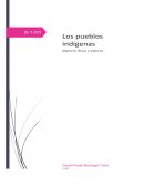 Ensayo “Los Pueblos Indígenas”
