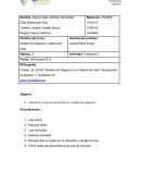 Modelos de negocios y la cadena de valor