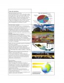 Tipos de industrias en el mundo