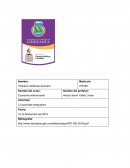 Economia internacional 3.3 actividad integradora