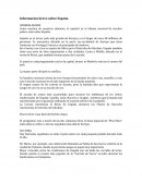 Informacion breve sobre España