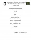 Normas de Información Financiera .