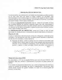 Tema 3 PROGRAMACIÓN DE PROYECTOS.. Página 1