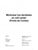 Minimizar los decibeles en call center (Punta de Cortes)