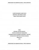 PRESUPUESTO DE INGRESOS PARA EL TIPO DE NEGOCIO